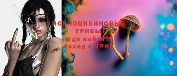 спайс Арсеньев