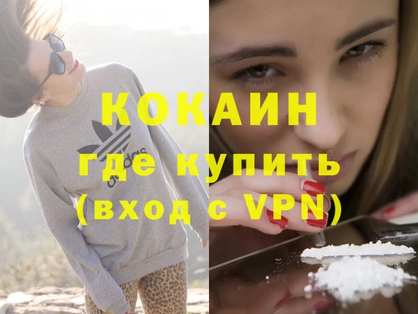 спайс Арсеньев