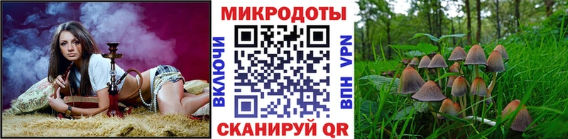 Галлюциногенные грибы Magic Shrooms даркнет сайт Белогорск